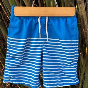 Blue and White Striped Swim Trunks Shorts